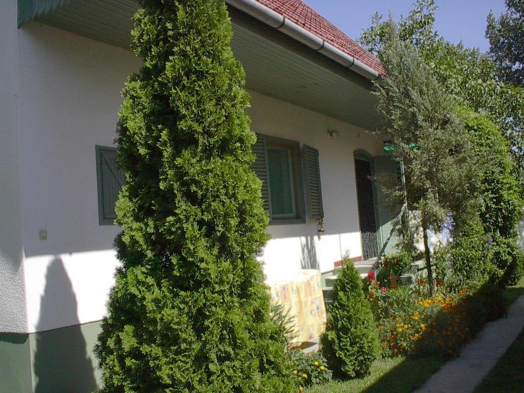 Babarczi Ueduelohaz Apartment Kiskunmajsa Bilik gambar