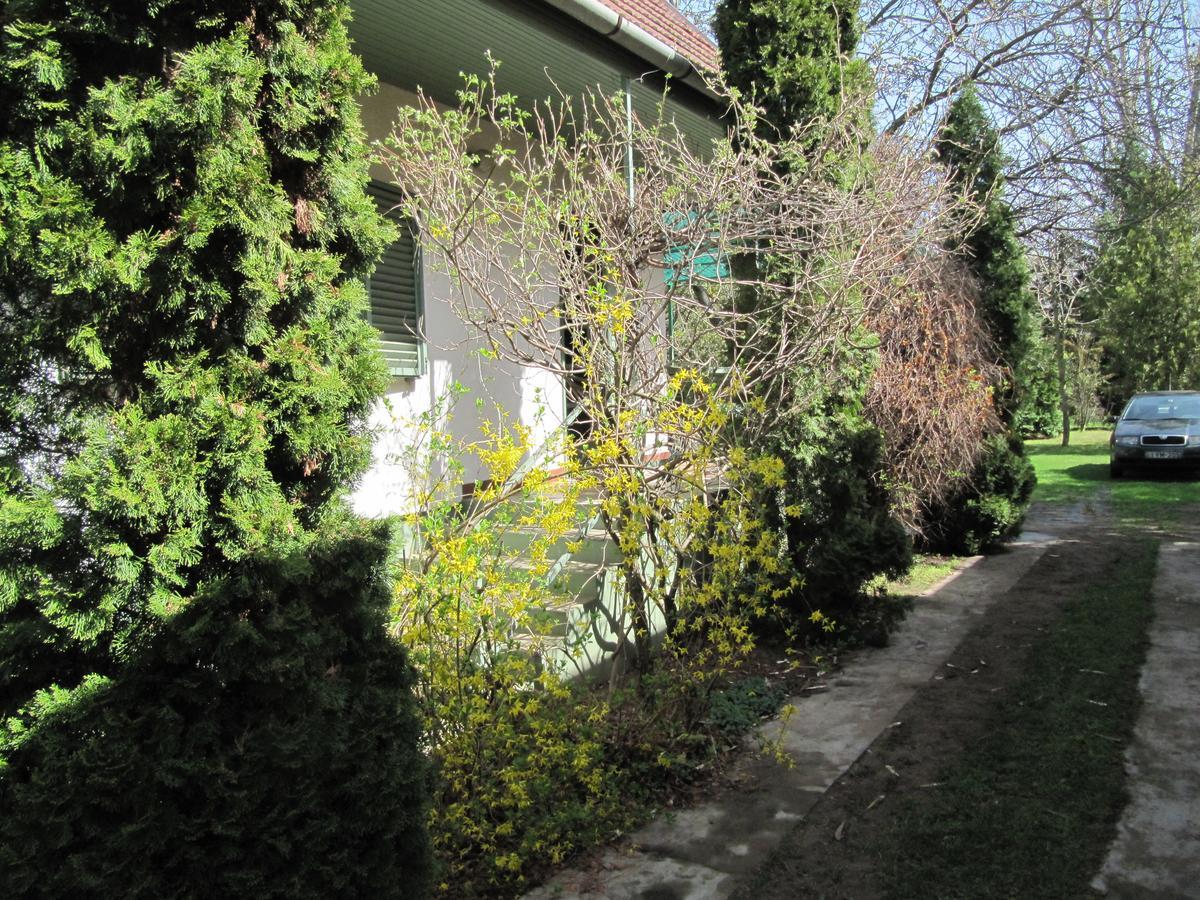Babarczi Ueduelohaz Apartment Kiskunmajsa Luaran gambar